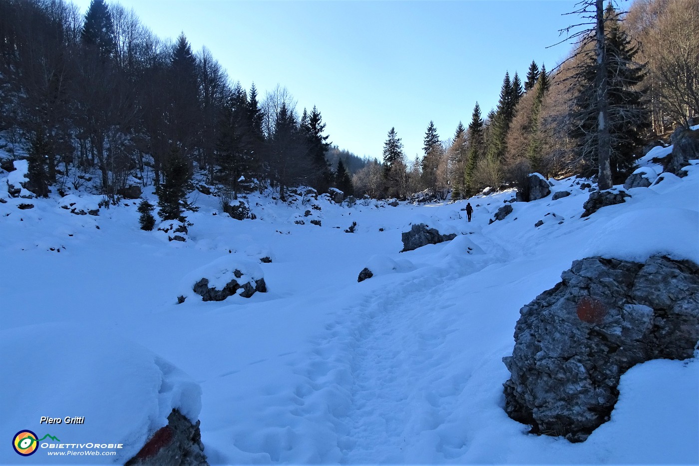 66 In zona d'ombra la neve dura a lungo.JPG